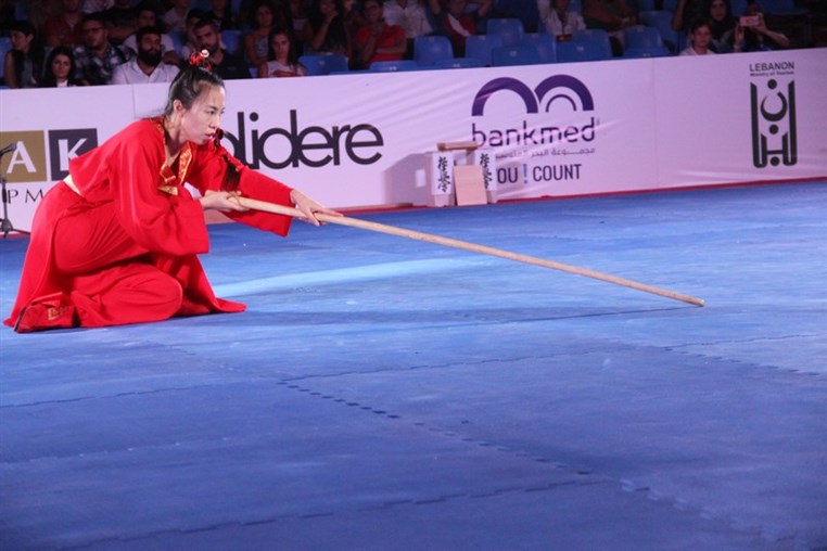 Martial Arts Festival